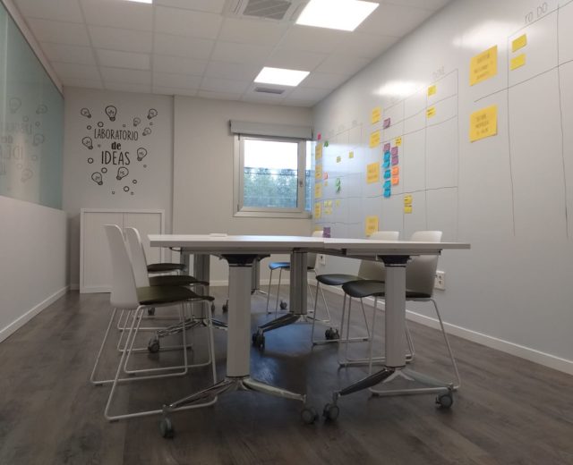 startups rotobasque mentoring